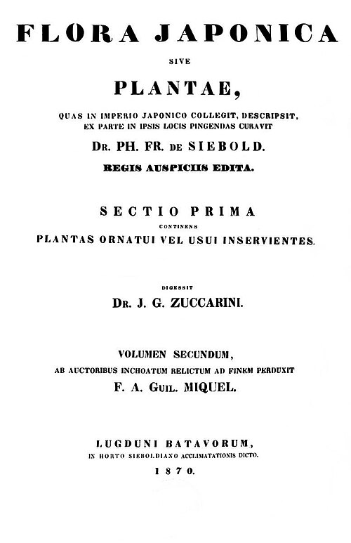 Титульная страница Flora Japonica