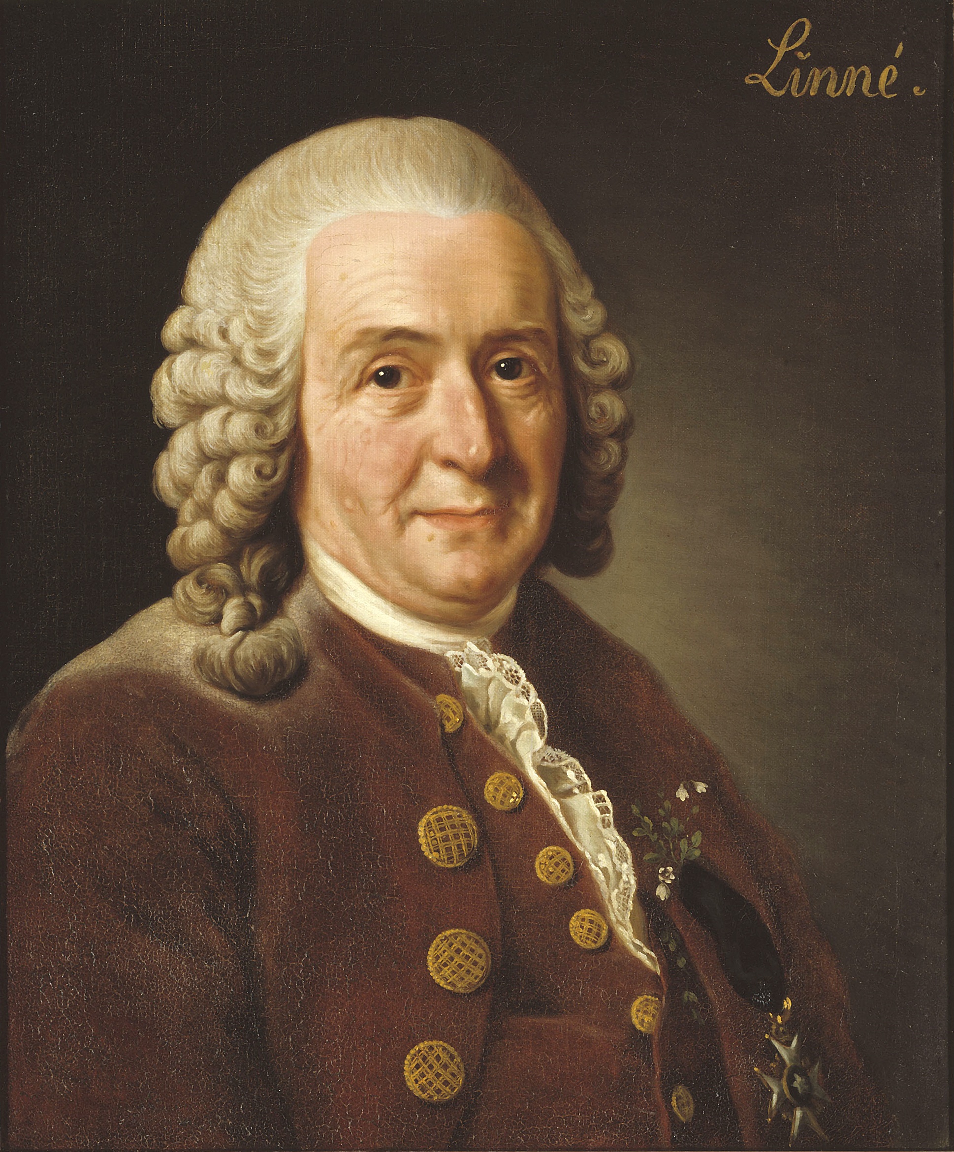 Карл Линней 1775 год